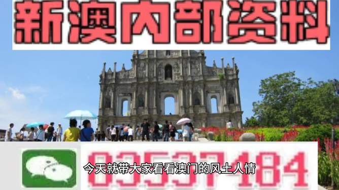 2024新澳免费资料澳门钱庄,探索澳门钱庄，新澳免费资料的深度解析（2024年展望）