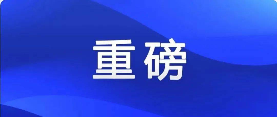 新奥门资料精准一句真言,新澳门资料精准一句真言，探索与解读