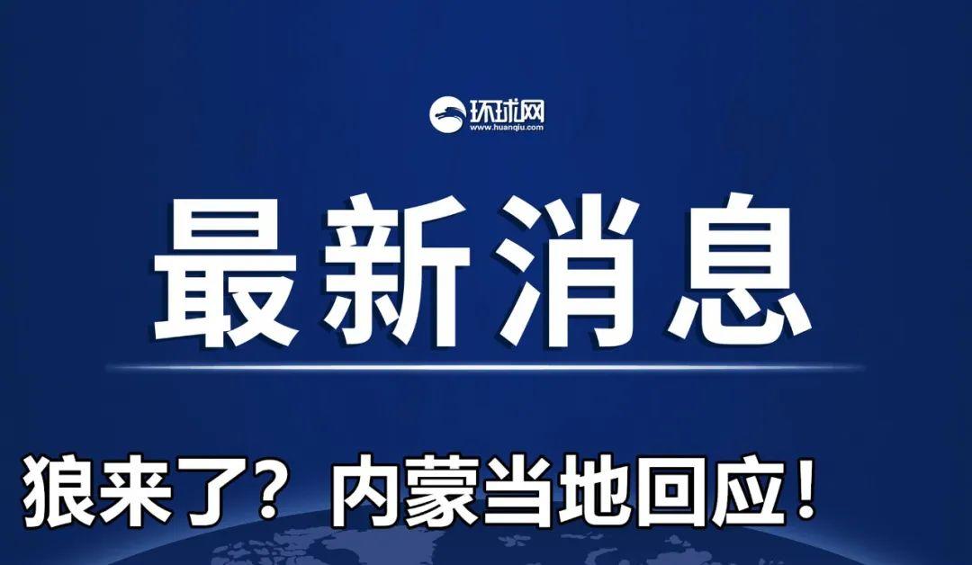 管家婆必中一肖一鸣,管家婆必中一肖一鸣，揭秘神秘预测背后的故事