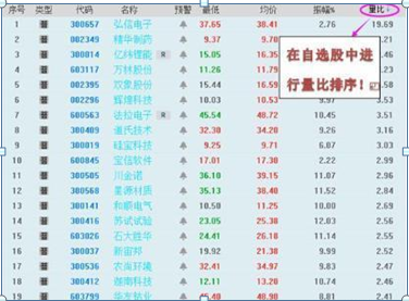 2025年2月7日 第8页